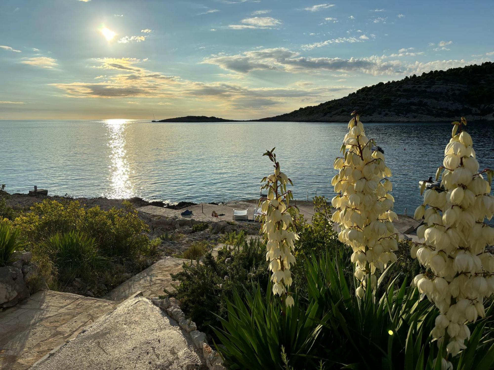Direkt Am Meer-Apartments Puntaplanka Rogoznica (Sibenik-Knin) Exterior foto